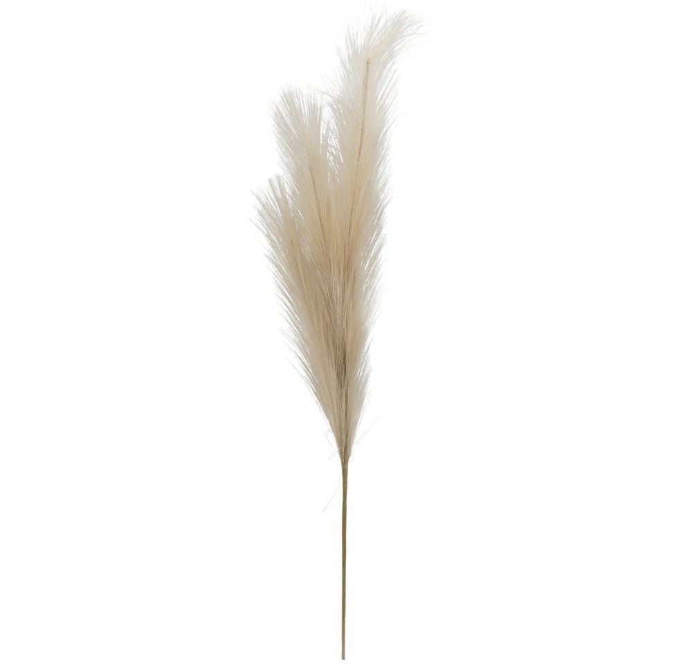 Kunstblume Feder Kunstzweig Kunstfeder Federstrauß 80 cm natur Feder, matches21 HOME & HOBBY, Höhe 100 cm Kunstblume Feder Kunstzweig Kunstfeder Federstrauß 80 cm natur Feder, matches21 HOME & HOBBY, Höhe 100 cm von matches21 HOME & HOBBY