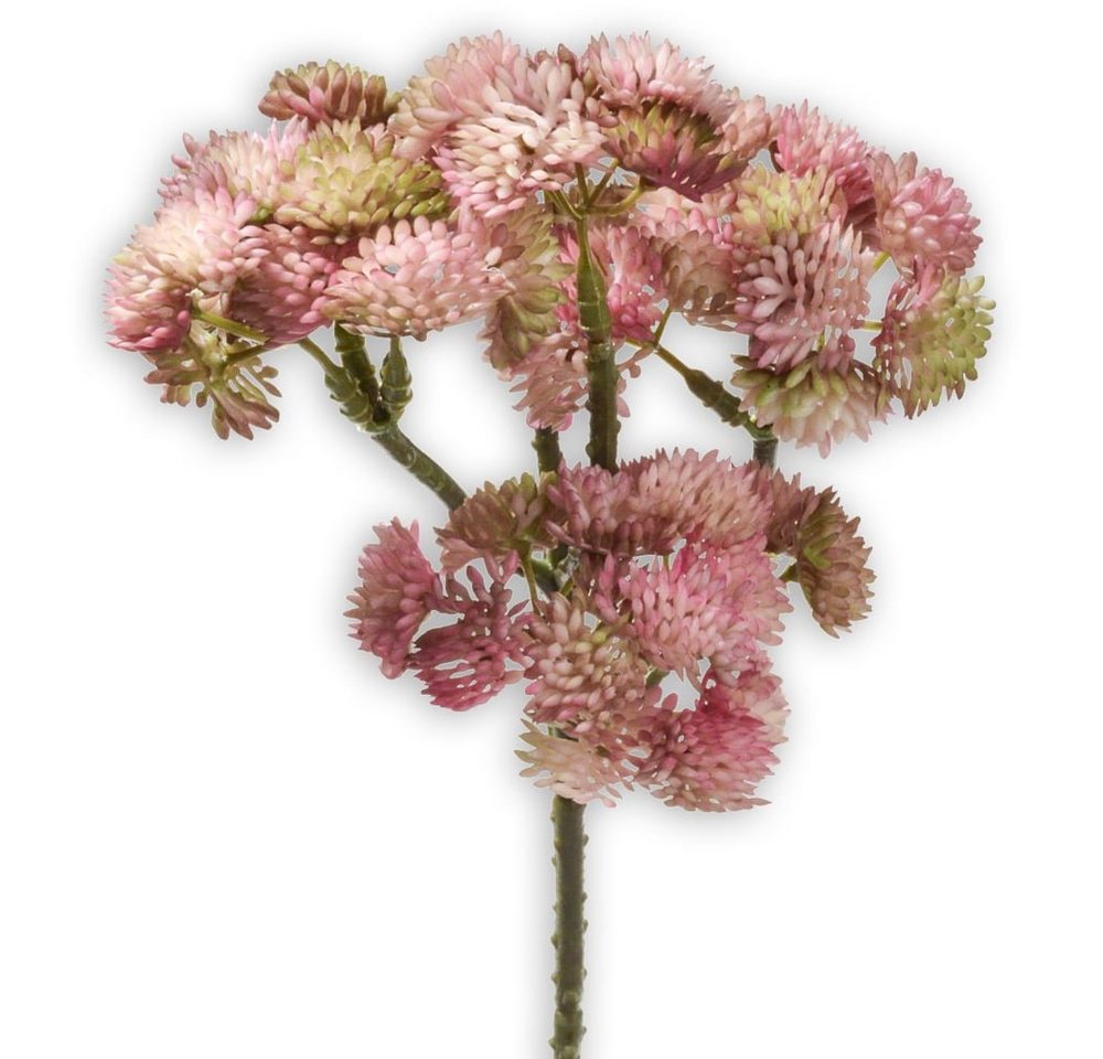 Kunstblume Fetthenne Kunstpflanze Dekopflanze 1 Stk 30 cm pink Fetthenne, matches21 HOME & HOBBY, Höhe 30 cm, Indoor von matches21 HOME & HOBBY