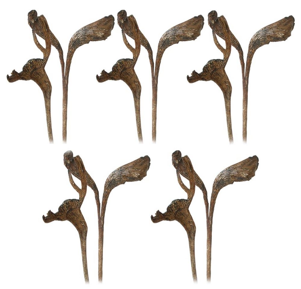 Kunstblume Geweihhölzer lackiert Naturdeko Dekozweige natur 5er Set Holz, matches21 HOME & HOBBY, Höhe 0 cm Kunstblume Geweihhölzer lackiert Naturdeko Dekozweige natur 5er Set Holz, matches21 HOME & HOBBY, Höhe 0 cm von matches21 HOME & HOBBY