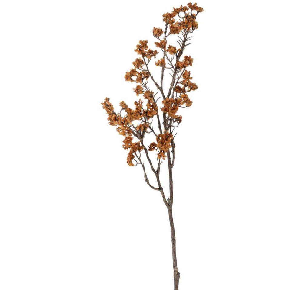 Kunstblume Kunstblume Schleierkraut basteln orange Kunststoff 1 Stk 48 cm Schleierkraut, matches21 HOME & HOBBY, Höhe 48 cm von matches21 HOME & HOBBY