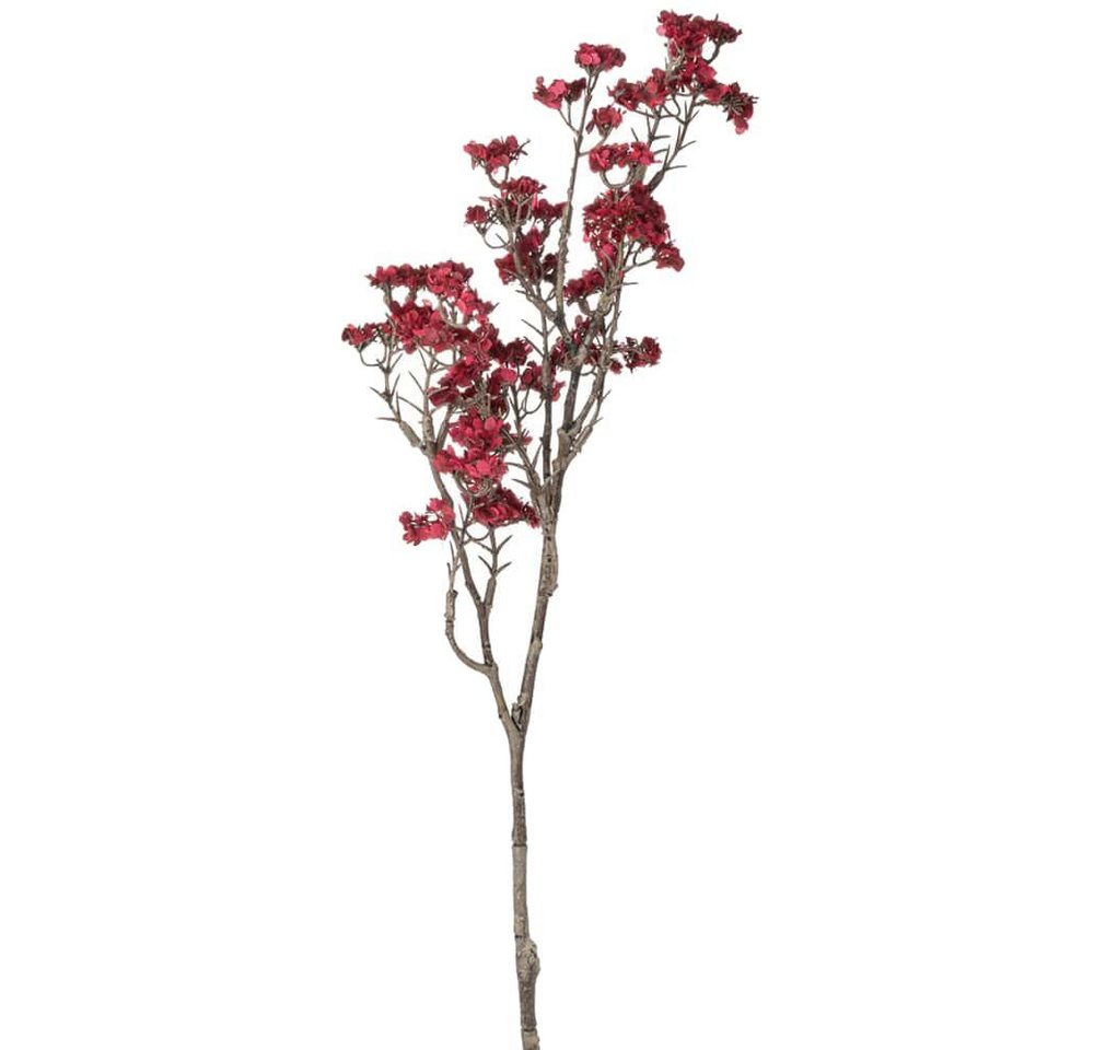 Kunstblume Kunstblume Schleierkraut basteln rot Kunststoff 1 Stk 48 cm Schleierkraut, matches21 HOME & HOBBY, Höhe 48 cm von matches21 HOME & HOBBY