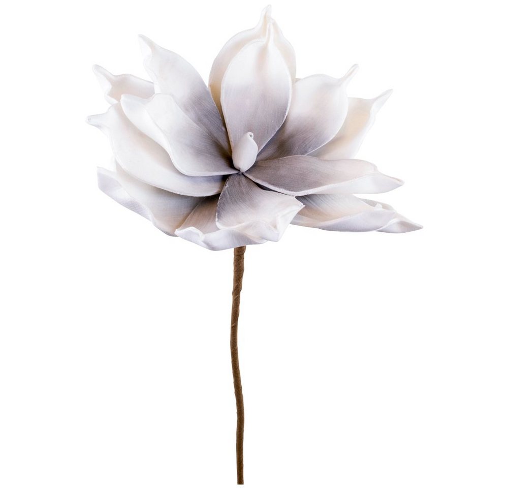 Kunstblume Kunstblumen Magnolie grau weiß Pflanzen Deko Ø 12x65 Magnolie, matches21 HOME & HOBBY, Höhe 65 cm von matches21 HOME & HOBBY