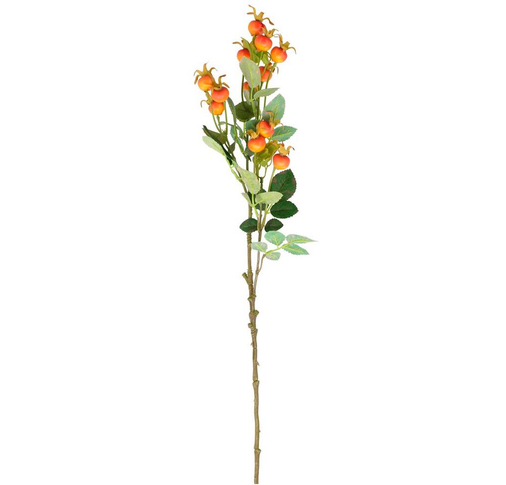 Kunstblume Kunstpflanze Hagebutte Kunstzweig orange 70x21x9 cm Hagebutten, matches21 HOME & HOBBY, Höhe 9 cm von matches21 HOME & HOBBY