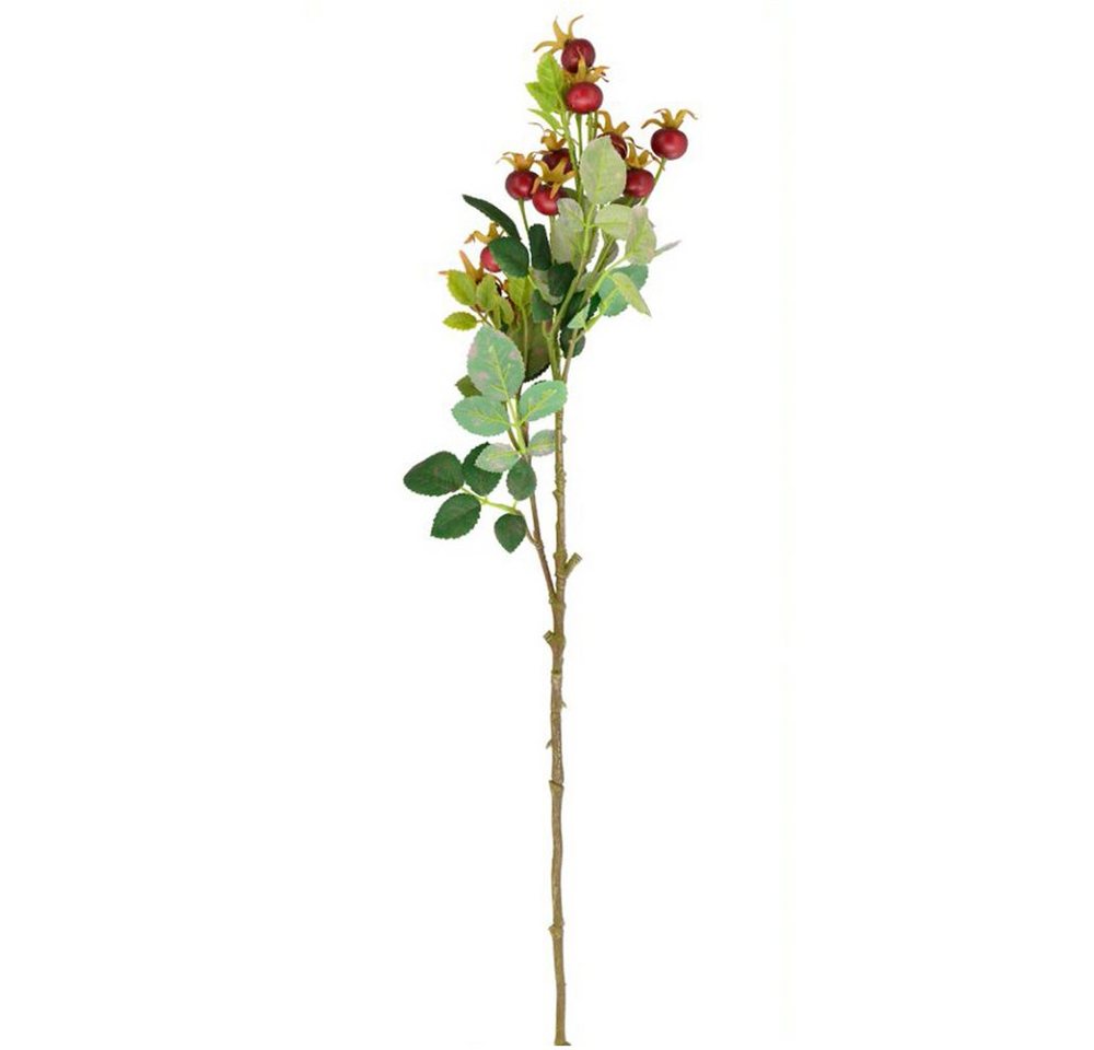 Kunstblume Kunstpflanze Hagebutte Kunstzweig rot 70x21x9 cm Hagebutten, matches21 HOME & HOBBY, Höhe 9 cm von matches21 HOME & HOBBY