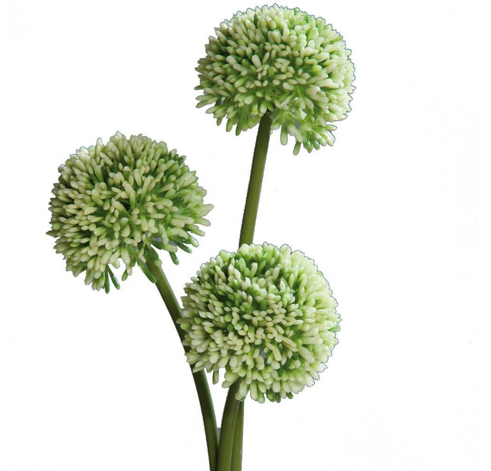 Kunstblume Lauch Blüten Allium Kunstpflanzen 3er Bund 46 cm grün Lauch Blüten, matches21 HOME & HOBBY, Höhe 46 cm, Indoor von matches21 HOME & HOBBY