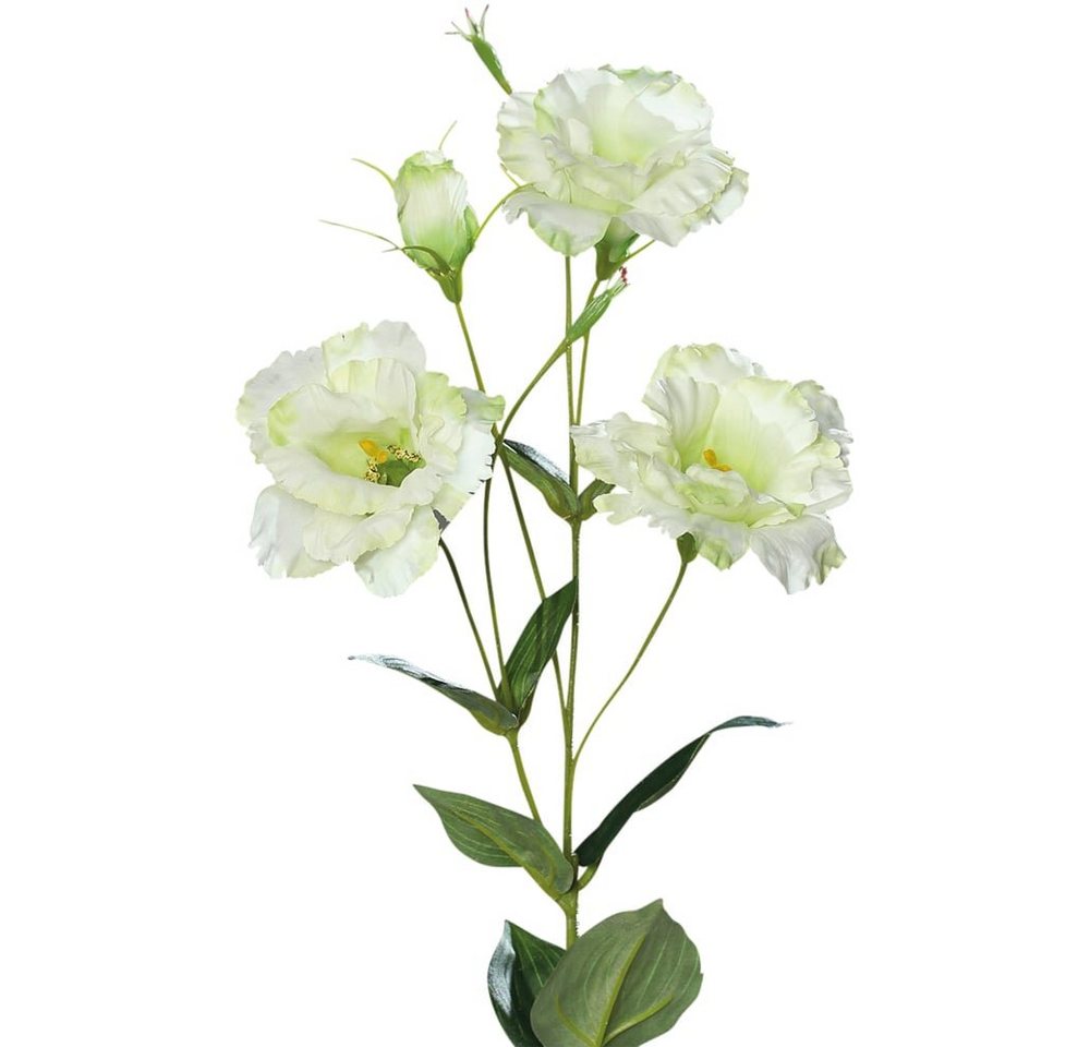 Kunstblume Lysianthus Eustoma Blüten Knospe Kunstblume weiß-grün 83 cm Eustoma, matches21 HOME & HOBBY, Höhe 83 cm von matches21 HOME & HOBBY