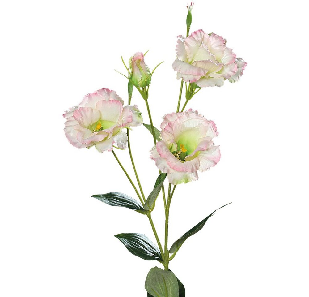 Kunstblume Lysianthus Eustoma Blüten Knospe Kunstblume weiß-rosa 83 cm Eustoma, matches21 HOME & HOBBY, Höhe 83 cm von matches21 HOME & HOBBY