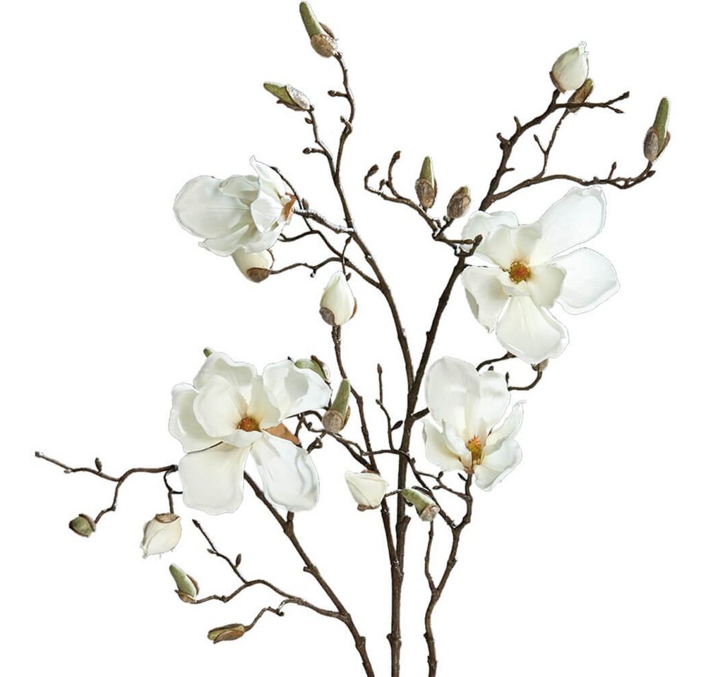 Kunstblume Magnolienzweig mit Blüten & Knospen 110 cm 1 Stk creme Magnolien, matches21 HOME & HOBBY, Höhe 110 cm, Indoor von matches21 HOME & HOBBY