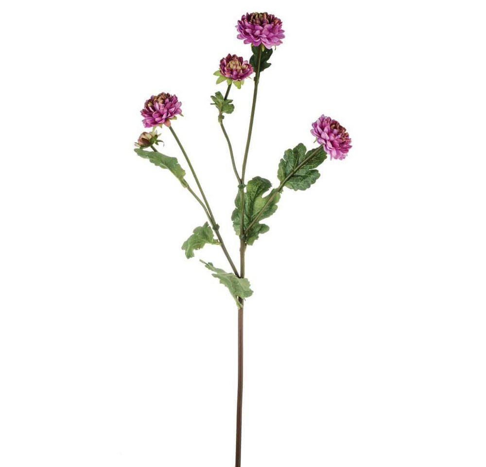 Kunstblume Mini Chrysanthemen Kunstblumen 4 Farben Chrysantheme, matches21 HOME & HOBBY, Höhe 68 cm von matches21 HOME & HOBBY