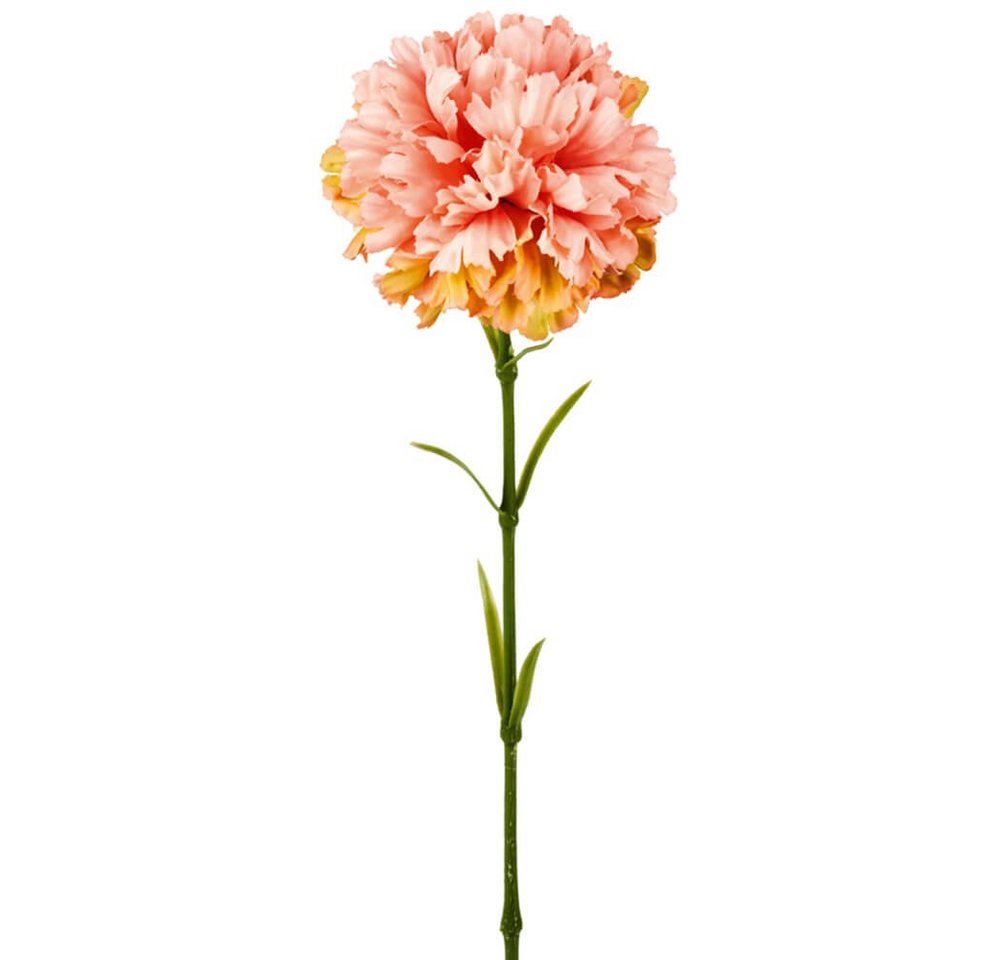 Kunstblume Nelken künstlich Blumen 1 Stk ca 52 cm apricot Nelken, matches21 HOME & HOBBY, Höhe 52 cm, Indoor von matches21 HOME & HOBBY