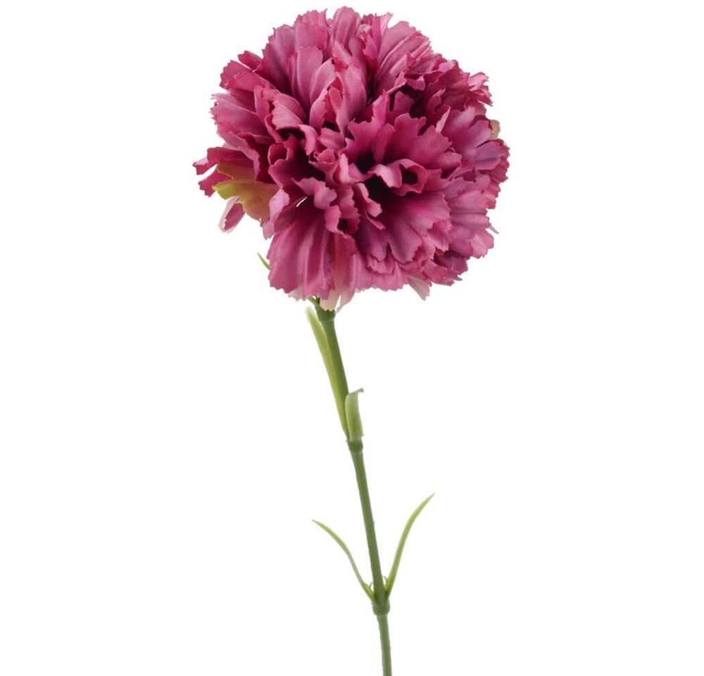 Kunstblume Nelken künstlich Blumen 1 Stk ca 52 cm lila Nelken, matches21 HOME & HOBBY, Höhe 52 cm, Indoor von matches21 HOME & HOBBY
