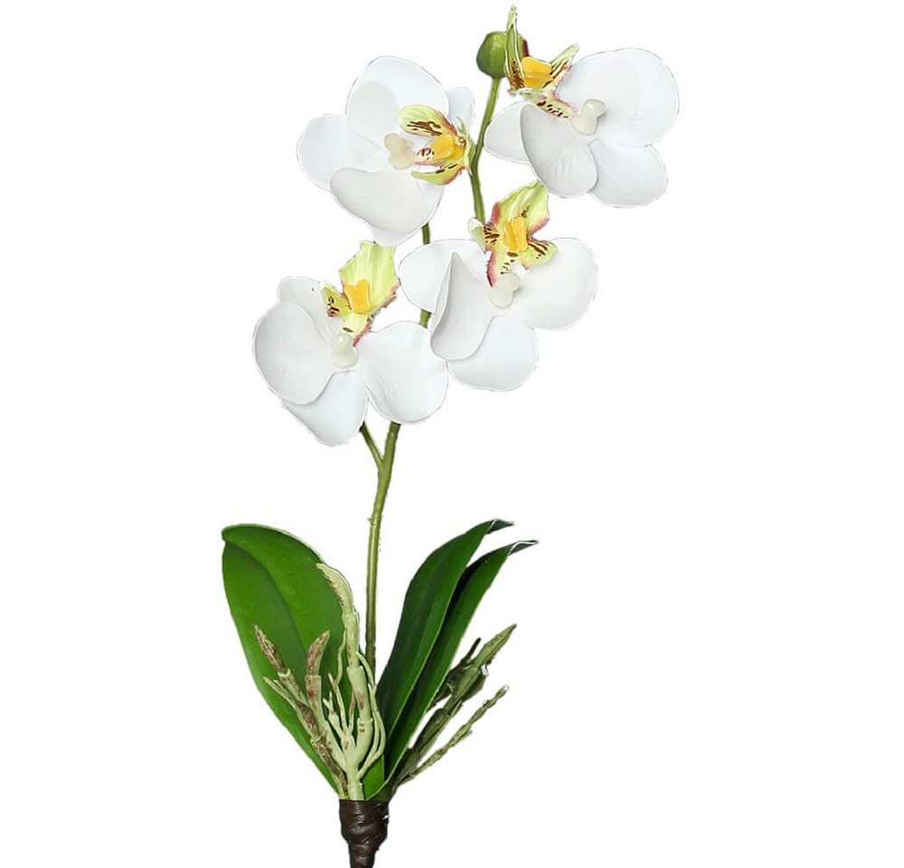 Kunstblume Orchideen Mini Phalaenopsis 26 cm 1 Stk weiß Orchideen, matches21 HOME & HOBBY, Höhe 26 cm, Indoor von matches21 HOME & HOBBY