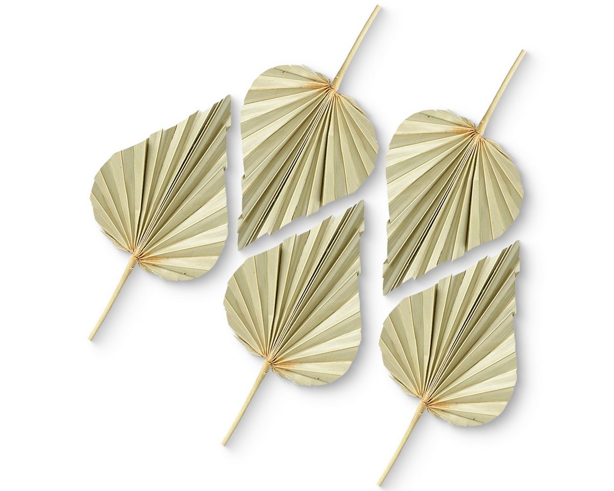 Kunstblume Palmspeere Bastelmaterial für Gestecke natur 5er Set 11-13 cm Palm, matches21 HOME & HOBBY, Höhe 11 cm von matches21 HOME & HOBBY