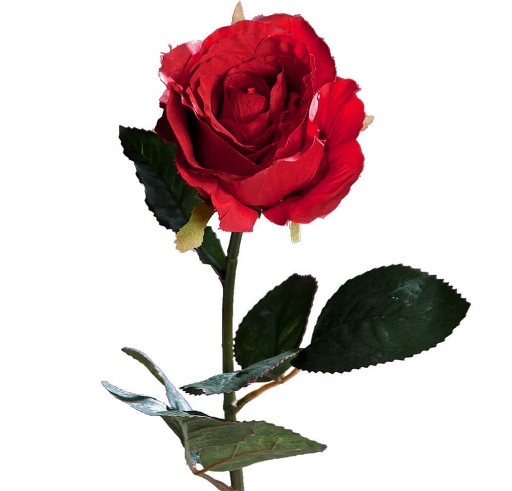 Kunstblume Rose Equador Stielrose Kunstpflanze 51 cm 1 Stk dunkelrot Rosen, matches21 HOME & HOBBY, Höhe 51 cm, Indoor von matches21 HOME & HOBBY