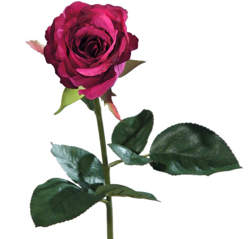 Kunstblume Rose Equador Stielrose Kunstpflanze 51 cm 1 Stk pink Rosen, matches21 HOME & HOBBY, Höhe 51 cm, Indoor von matches21 HOME & HOBBY
