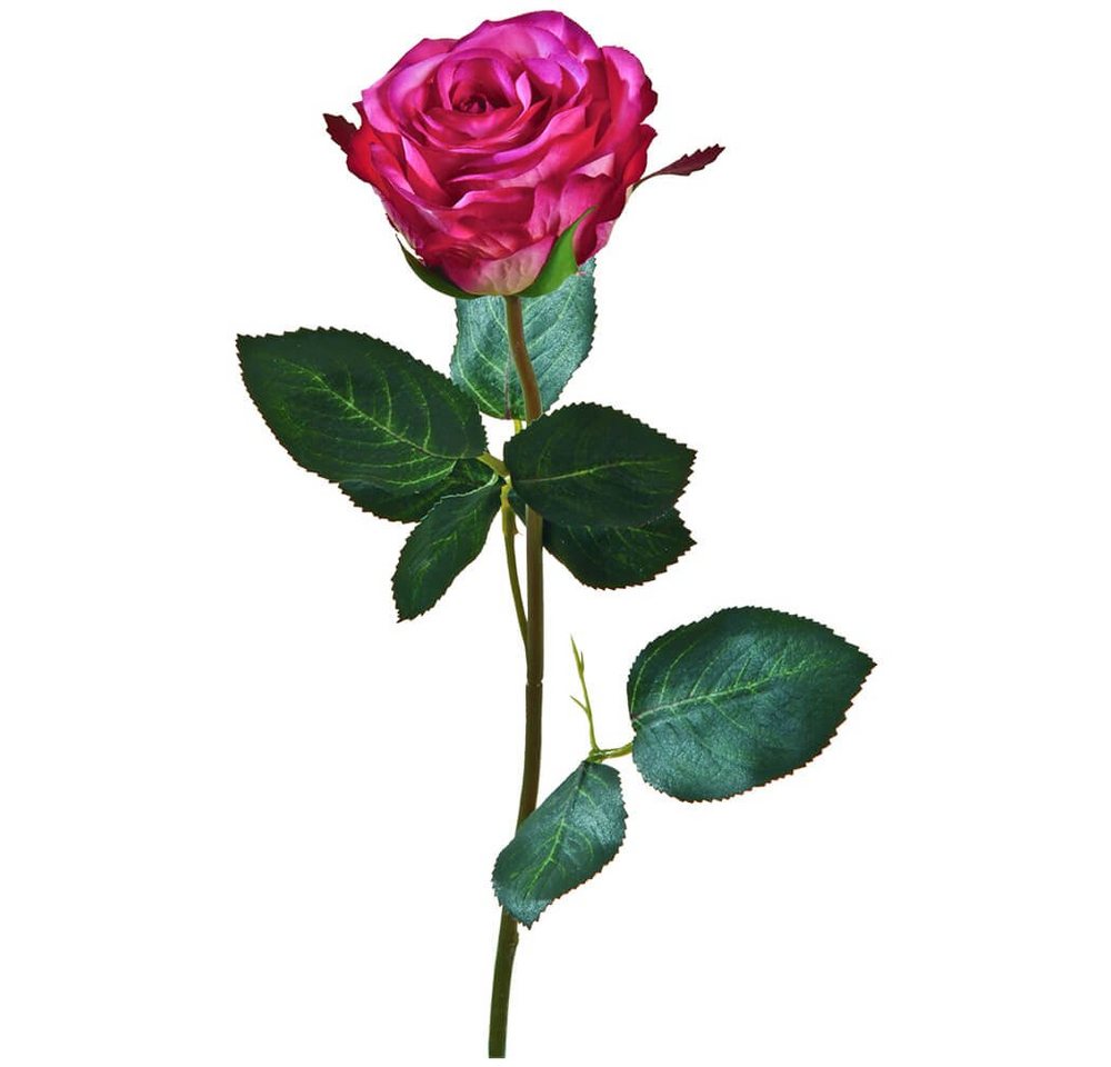 Kunstblume Rose Madame Stielrose Kunstpflanze 37 cm 1 Stk pink Rosen, matches21 HOME & HOBBY, Höhe 37 cm, Indoor von matches21 HOME & HOBBY