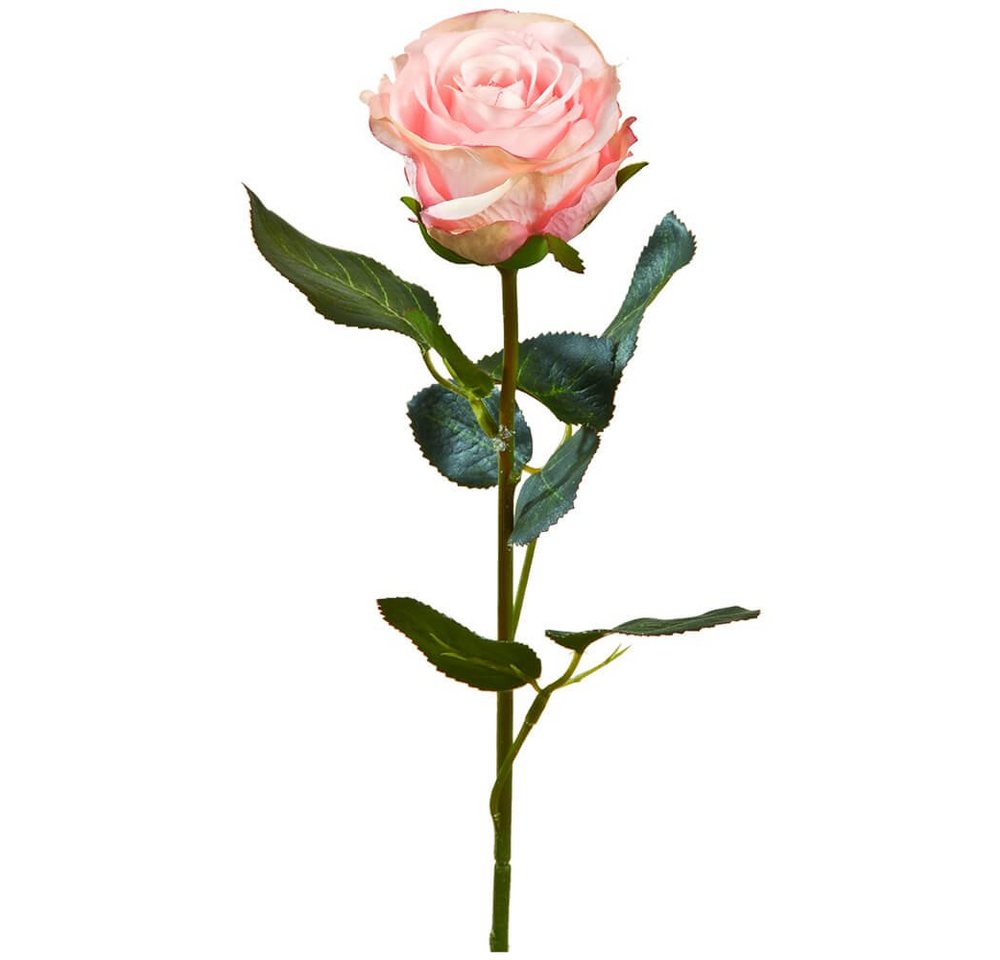 Kunstblume Rose Madame Stielrose Kunstpflanze 37 cm 1 Stk rosa Rosen, matches21 HOME & HOBBY, Höhe 37 cm, Indoor von matches21 HOME & HOBBY
