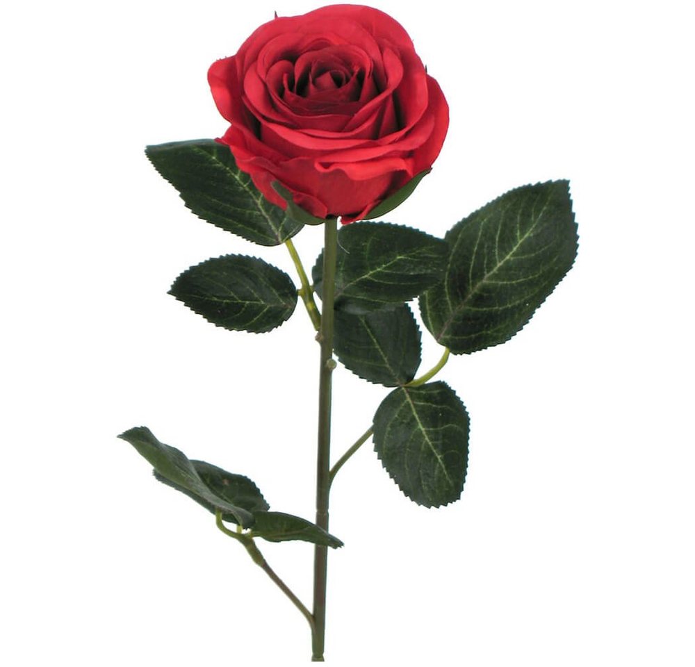 Kunstblume Rose Madame Stielrose Kunstpflanze 37 cm 1 Stk rot Rosen, matches21 HOME & HOBBY, Höhe 37 cm, Indoor von matches21 HOME & HOBBY