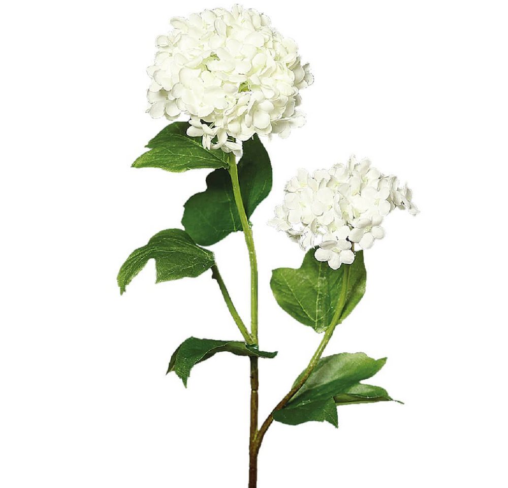 Kunstblume Schneebälle Blumen Dekozweig 1 Stk Länge 48 cm cremeweiß Schneeball, matches21 HOME & HOBBY, Höhe 48 cm, Indoor von matches21 HOME & HOBBY