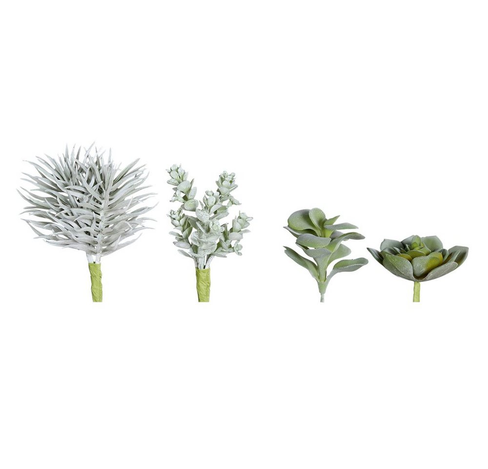 Kunstblume Vier Sukkulenten aus Kunststoff Kunstblumen Set grün 6-12 cm Sukkulente, matches21 HOME & HOBBY, Höhe 12 cm von matches21 HOME & HOBBY