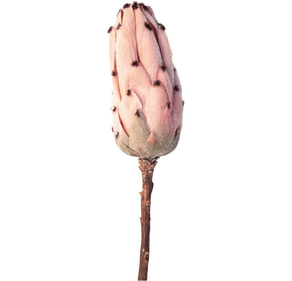 Kunstblume Zuckerbusch Protea Blüte Kunstblume Ø 7x13x51 cm hellrosa Zuckerbüsche, matches21 HOME & HOBBY, Höhe 13 cm von matches21 HOME & HOBBY