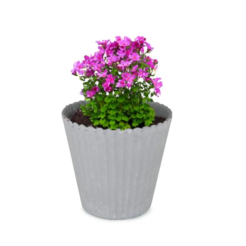 Moderner Blumentopf in Steinoptik grau für Blumen und Zimmer-Pflanzen - hoher Übertopf in 13 cm als Tisch-Deko oder Garten Pflanzentopf - Wetterfester draussen Kunststoff Pflanztopf von matches21 HOME & HOBBY