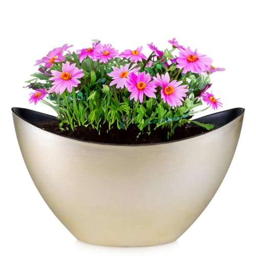 Ovale Pflanzschale für draußen in 24 x 10 x 14 cm - Hohe Vintage Schiff Deko-Schalen in champagner gold als Blumen-Topf Pflanztopf - Jardiniere für Garten Balkon oder Friedhof als Grab-Schmuck von matches21 HOME & HOBBY