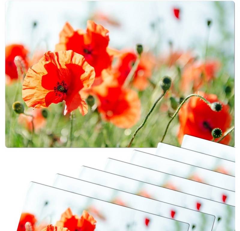 matches21 HOME & HOBBY Platzset Abwaschbare Tischsets 8er Set Sommer Mohn-Blumen, (8-St), Platzsets als Tisch-Untersetzer und Tisch-Deko für Esstisch Teller von matches21 HOME & HOBBY
