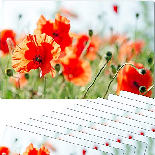 Tischsets 12er als abwaschbare Tischdeko für den Sommer - Platzsets Mohn Blumen Wiese als Tischuntersetzer in 43 cm - Platzdeckchen als Tischunterlage für Esstisch Wohnzimmer Tisch von matches21 HOME & HOBBY