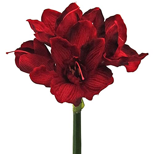 matches21 Amaryllis Kunstblume Kunstpflanze Dekopflanze Kunststoff 3 Blüten & 1 Knospe Ø ca. 18 cm 1 STK - dunkelrot von matches21 HOME & HOBBY