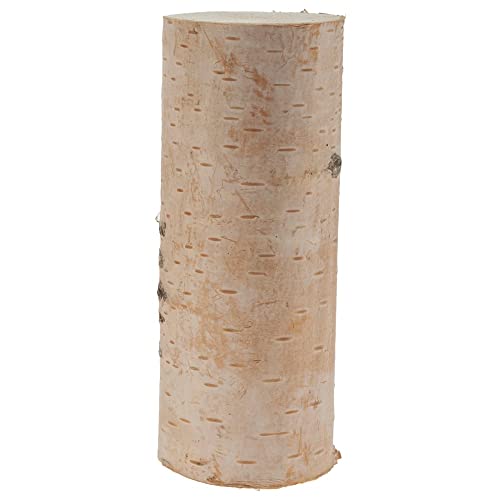 matches21 Birkenstämmchen Baumstamm gerader Schnitt - Holzstamm Naturmaterial DIY Bastelmaterial - je 1 STK. 8 x 20 cm von matches21 HOME & HOBBY