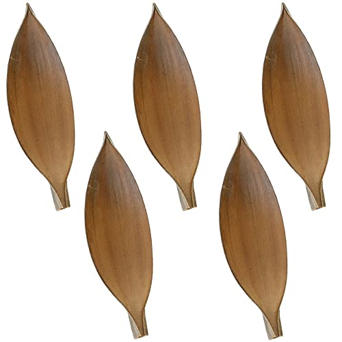 matches21 Deko Kokosschalen Naturdeko Bastelmaterial Gestecke Herbst Winter getrocknet Natur 5er Set 30-40 cm von matches21 HOME & HOBBY