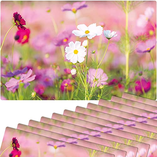 matches21 Frühlingshafte Tischsets Platzsets Motiv abwaschbar Frühling Blumen pink weiß Blumenwiese 12er 43,5x28,5 cm von matches21 HOME & HOBBY