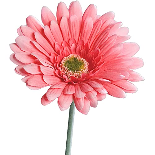 matches21 Gerbera Kunstblume für Blumengestecke künstliche Blume Blüten Kunststoff 1 STK Ø 10x56 cm - rosa von matches21 HOME & HOBBY