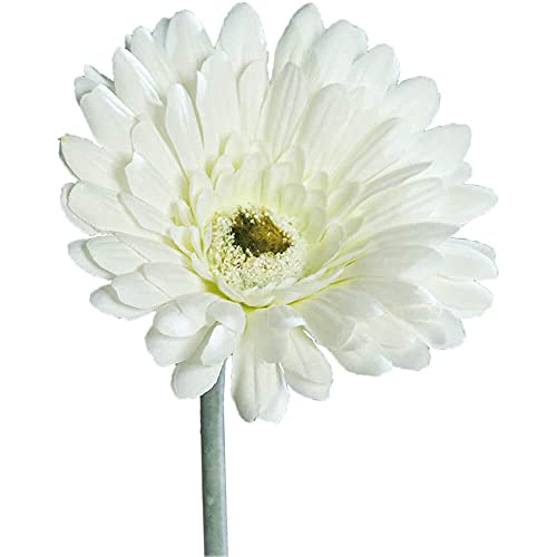 matches21 Gerbera Kunstblume für Blumengestecke künstliche Blume Blüten Kunststoff 1 STK Ø 10x56 cm - cremefarben von matches21 HOME & HOBBY