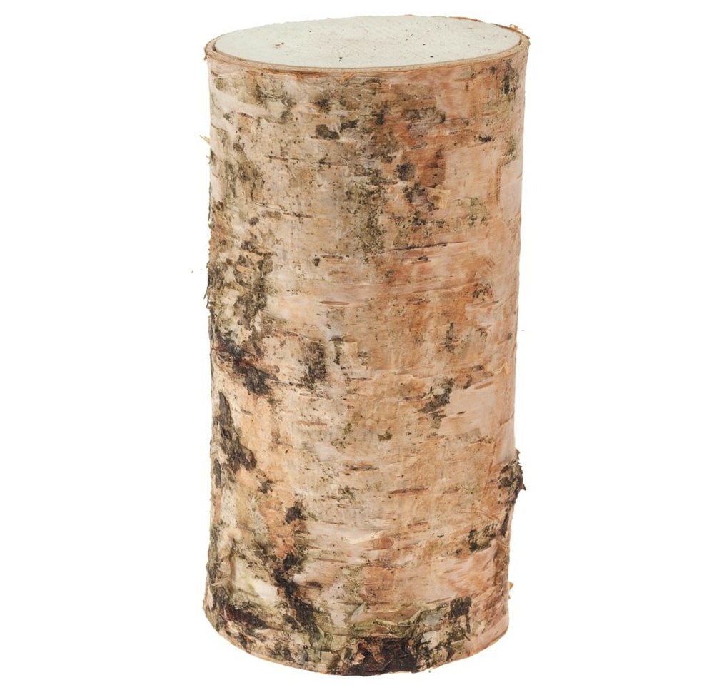 matches21 HOME & HOBBY Bastelnaturmaterial Birkenstämmchen für Basteln Deko in 5 x 10 cm, (1-tlg), Birken-Holz Naturmaterial Holz-Stamm für Basteln und Dekorieren von matches21 HOME & HOBBY