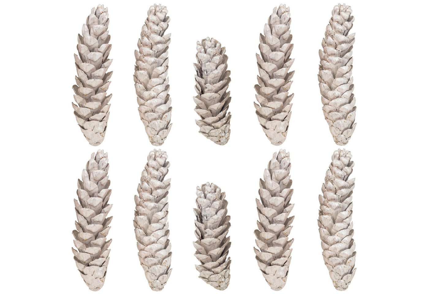 matches21 HOME & HOBBY Bastelnaturmaterial Deko-Zapfen Pinienzapfen 10-25 cm creme rose als Bastelbedarf, (10-tlg), Natur Tannenzapfen lackiert 10er Set von matches21 HOME & HOBBY