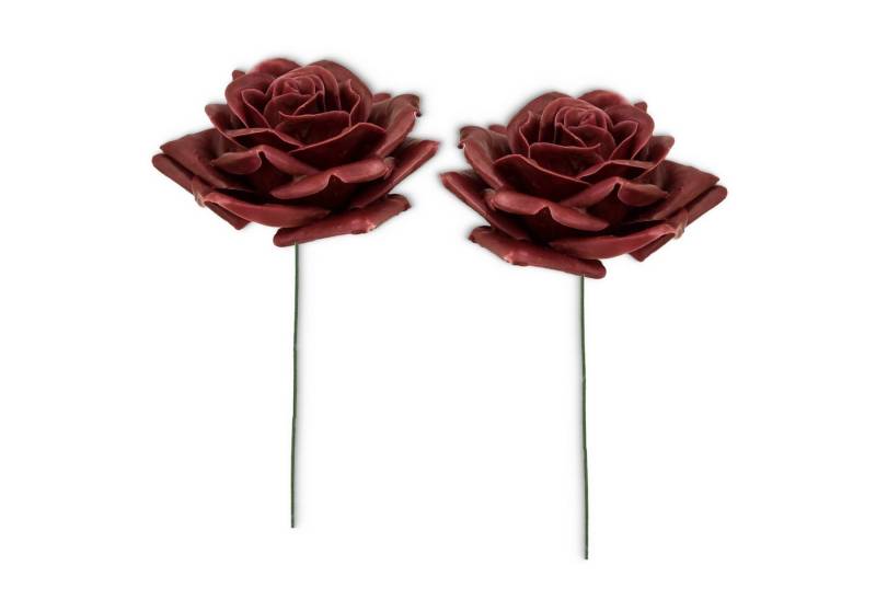 matches21 HOME & HOBBY Bastelnaturmaterial Große Wachs-Blüten Textil-Rosen 2er Set Kunst-Rosen bordeaux, (2-tlg), Wasserfeste Wachs-Rosen als haltbare Deko-Rosen für Blumengestecke von matches21 HOME & HOBBY