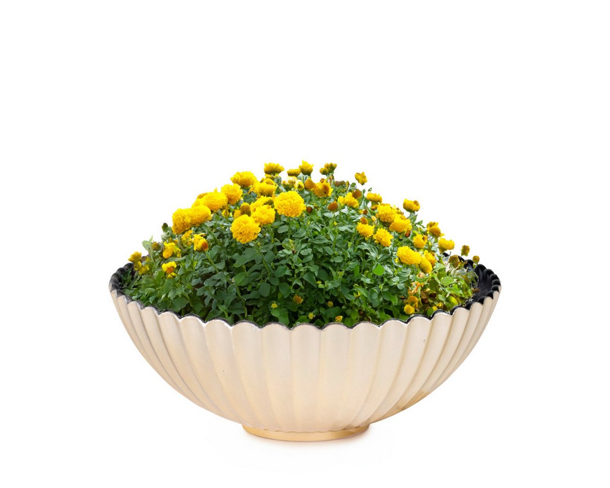 matches21 HOME & HOBBY Blumentopf Dekoschale runde Pflanzschale für draussen champagner gold 16 cm (1 St), Blumen-Schale als wetterfeste Friedhof-Schale Grab-Schmuck Grabschale von matches21 HOME & HOBBY