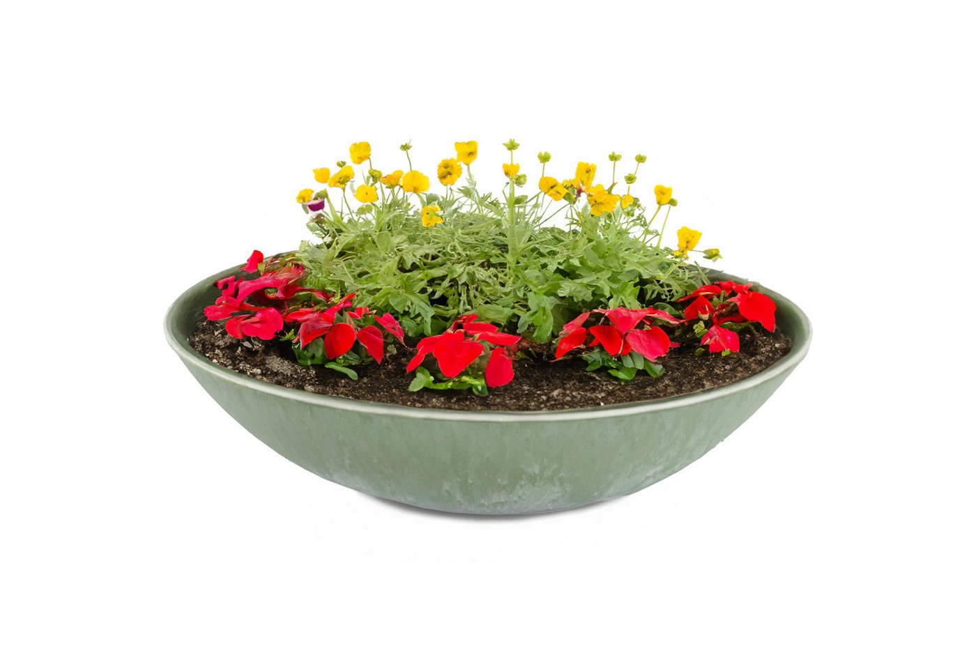 matches21 HOME & HOBBY Blumentopf Flache Pflanzschale für draussen Dekoschale rund olivgrün 45 cm (1 St), Blumen-Schale als wetterfeste Friedhof-Schale Grab-Schmuck Grabschale von matches21 HOME & HOBBY