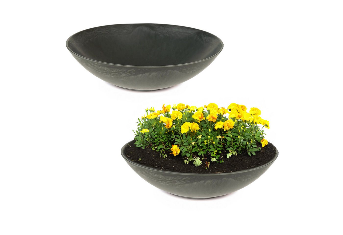 matches21 HOME & HOBBY Blumentopf Flache Pflanzschalen für draussen Dekoschalen rund schwarz 35 cm (2 St), Blumen-Schale als wetterfeste Friedhof-Schale Grab-Schmuck Grabschale von matches21 HOME & HOBBY