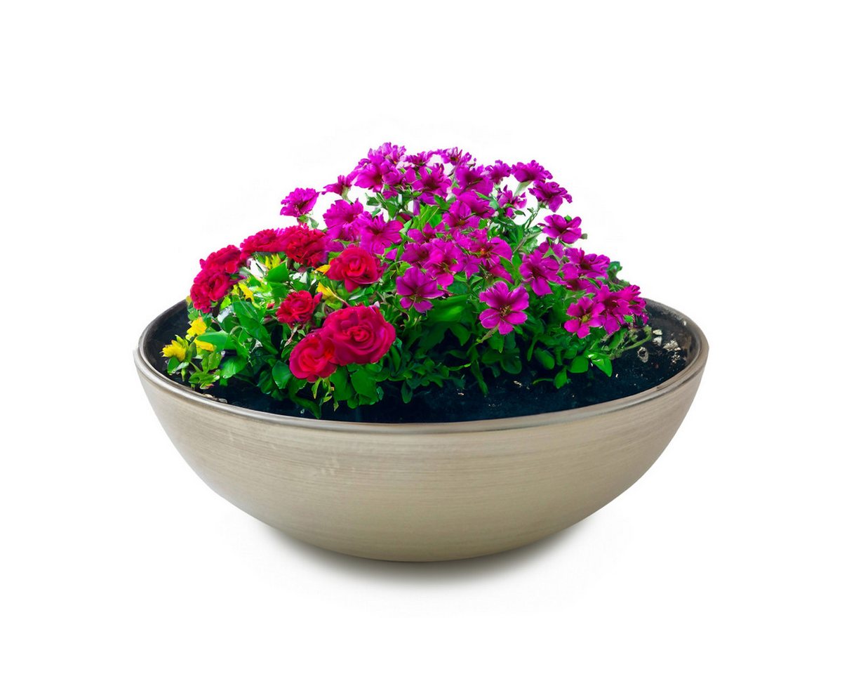 matches21 HOME & HOBBY Blumentopf Pflanzschale für draussen Dekoschale rund champagner beige 25 cm (1 St), Blumen-Schale als wetterfeste Friedhof-Schale Grab-Schmuck Grabschale von matches21 HOME & HOBBY