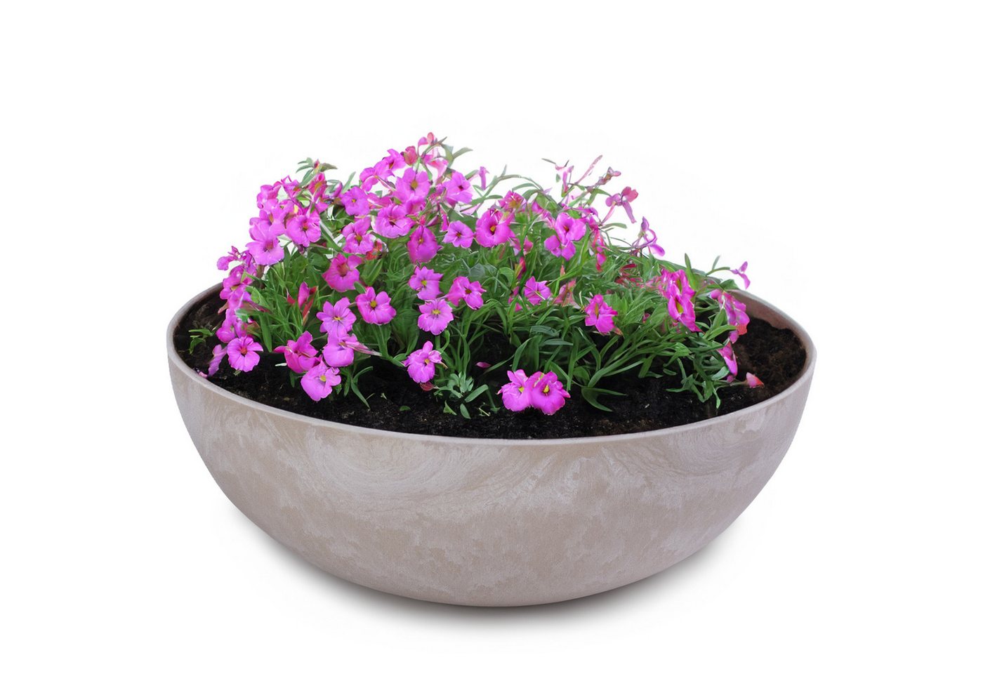 matches21 HOME & HOBBY Pflanzschale Runde bauchige 20 cm Pflanzschale für draussen, sand marmoriert (1 St), Wetterfeste Blumen-Schale als moderne Gartendeko Grabschmuck von matches21 HOME & HOBBY