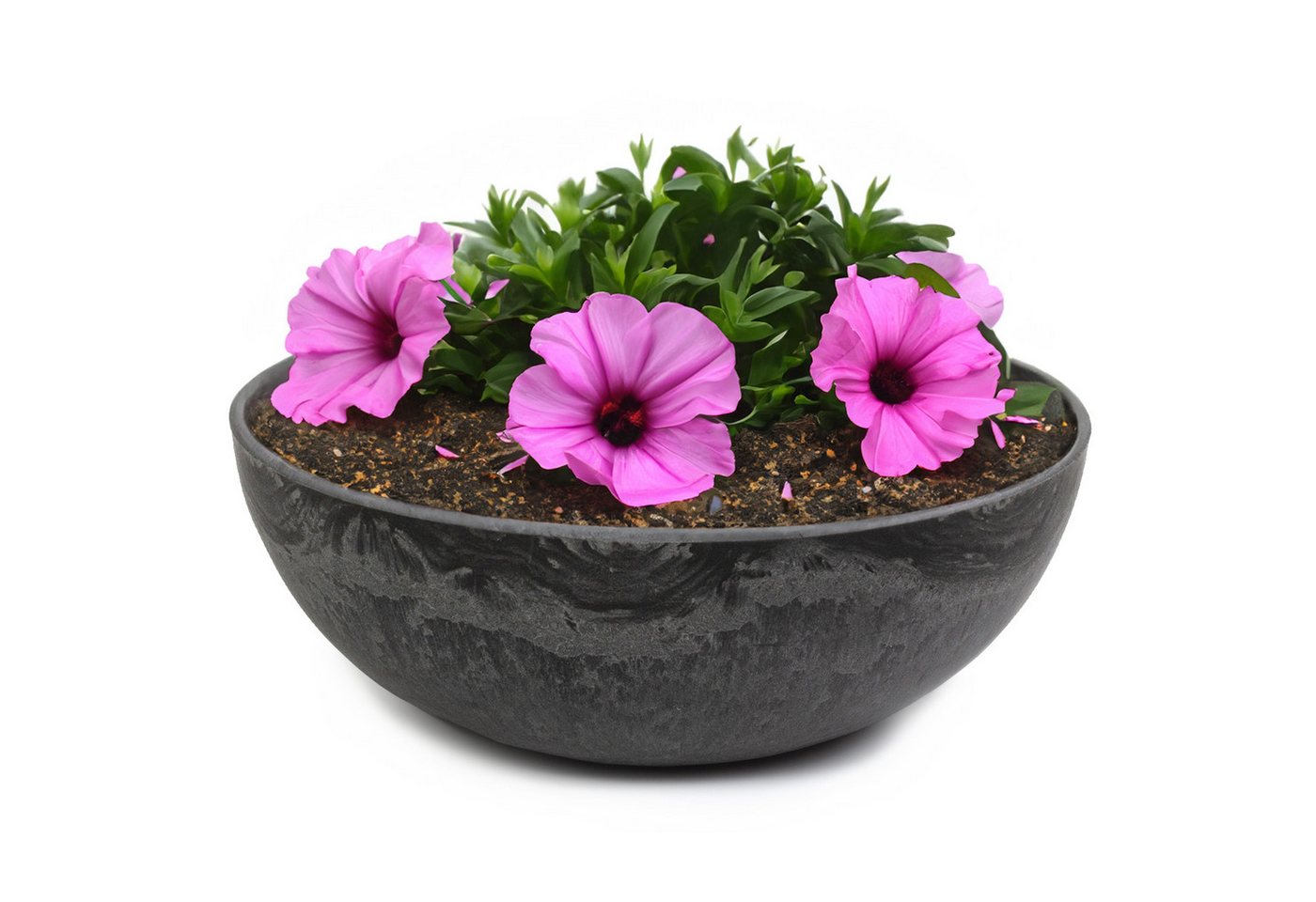matches21 HOME & HOBBY Pflanzschale Runde bauchige 20 cm Pflanzschale für draussen, schwarz marmoriert (1 St), Wetterfeste Blumen-Schale als moderne Gartendeko Grabschmuck von matches21 HOME & HOBBY