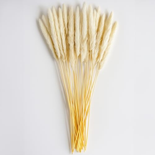 matches21 HOME & HOBBY Getrocknetes weißes Pampasgras 40er Set - 50 cm große Trockenblumen als Natur Boho Tischdeko von matches21 HOME & HOBBY