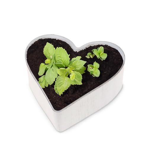 matches21 HOME & HOBBY Herz Pflanzschale Vintage Creme-weiß 21 x 20 x 7 cm wetterfeste Grabschmuck Blumen-Schale von matches21 HOME & HOBBY