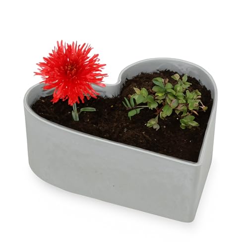 matches21 HOME & HOBBY Herz Pflanzschale Vintage hell-grau 22 x 20 x 7,5 cm wetterfeste Grabschmuck Blumen-Schale von matches21 HOME & HOBBY