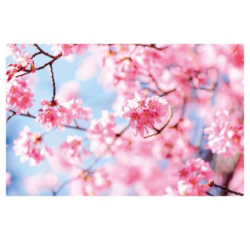 matches21 HOME & HOBBY Platzset Abwaschbares Tischset Frühling Kirsch-Blüten, (1-St), Platzsets als Tisch-Untersetzer und Tisch-Deko für Esstisch Teller von matches21 HOME & HOBBY