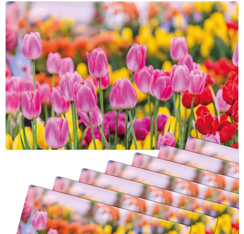 matches21 HOME & HOBBY Platzset Abwaschbare Tischsets 8er Set Sommer Tulpen Blumen pink, (8-St), Platzsets als Tisch-Untersetzer und Tisch-Deko für Esstisch Teller von matches21 HOME & HOBBY