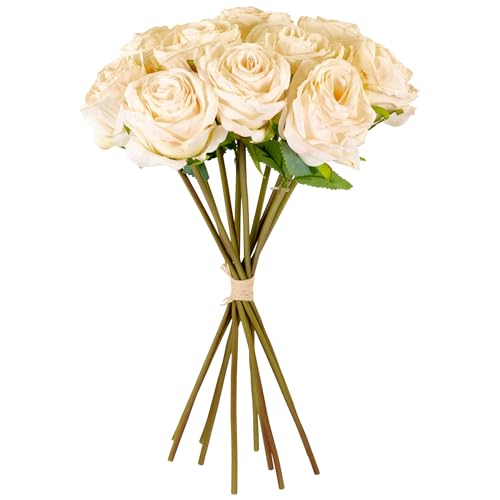 matches21 HOME & HOBBY Rosen künstlicher Blumenstrauß in Trockenoptik Cremeweiß 35 cm - 10er Bund Kunstblumen wie echt matches21 HOME & HOBBY Rosen künstlicher Blumenstrauß in Trockenoptik Cremeweiß 35 cm - 10er Bund Kunstblumen wie echt von matches21 HOME & HOBBY